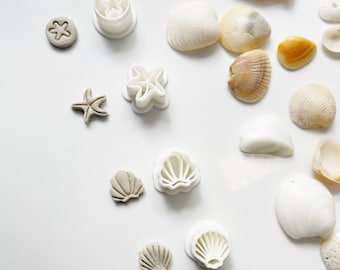 May include: An assortment of seashells in various shapes and sizes, alongside white plastic cookie cutters shaped like starfish and seashells. The shells range in color from white to tan and orange.
