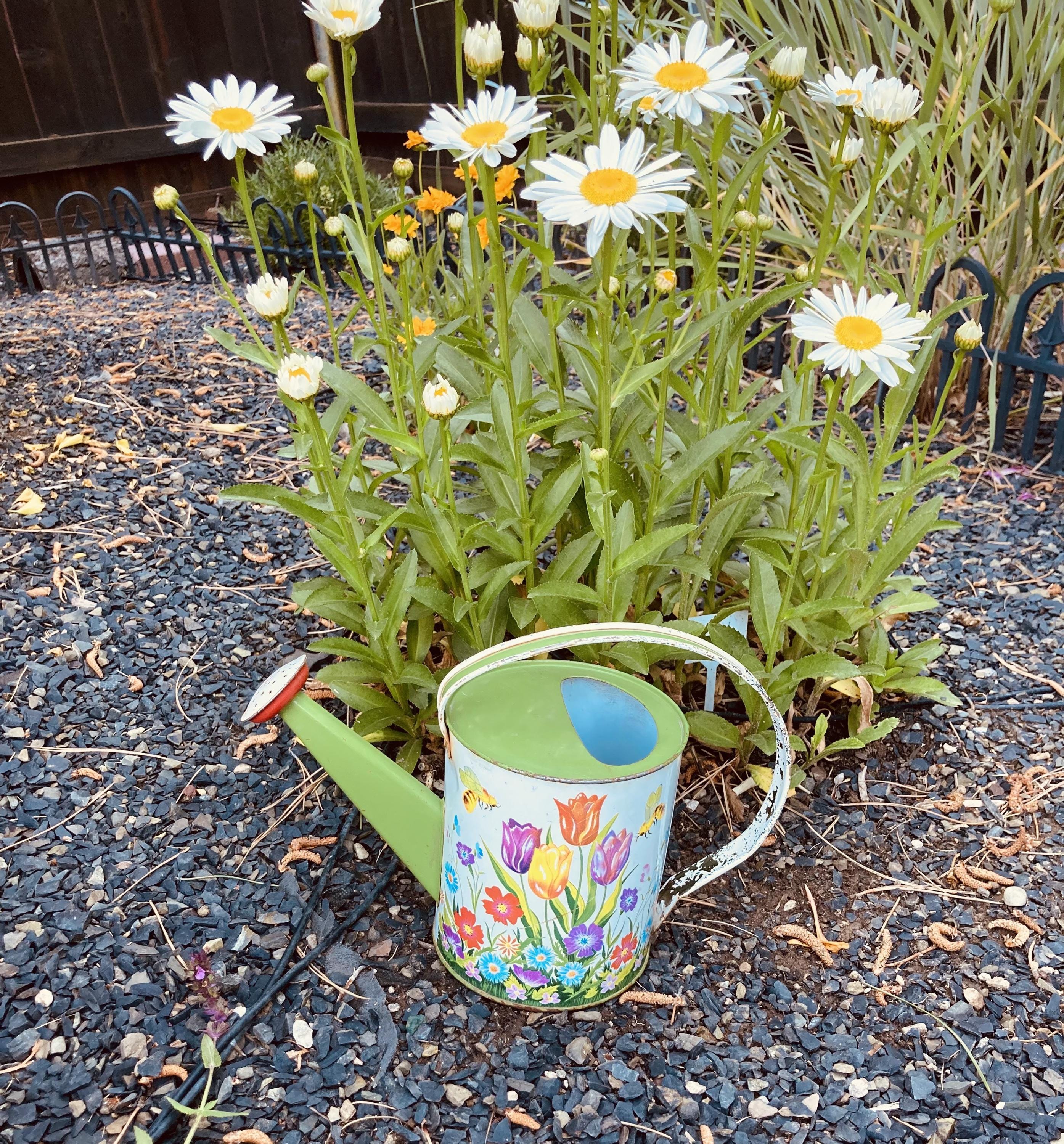 Vintage Ohio Art Watering Can
