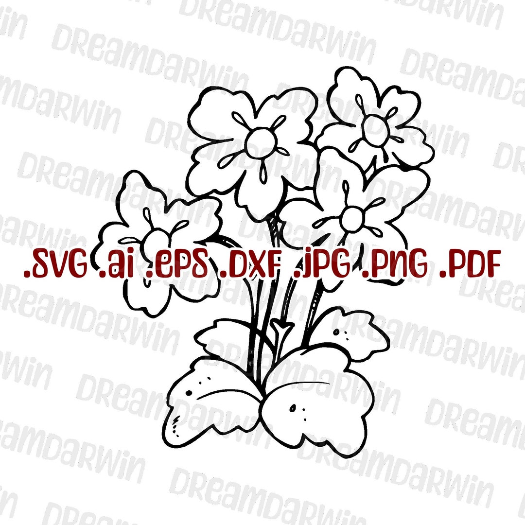 Flower Color Book Floral Svg Plants Hand Drawn for Cricut Etsy