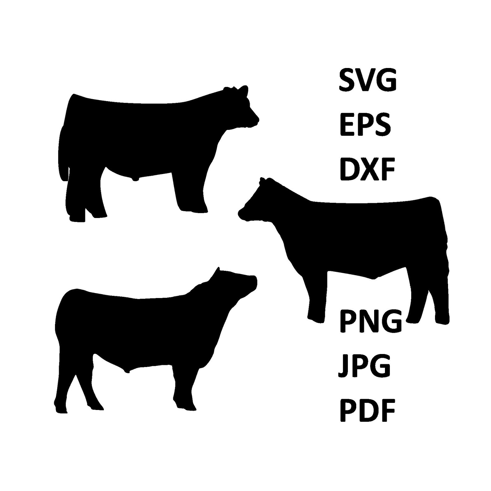 Show Steer SVG, Cut Files, Silhouette, Clipart, Sticker, Stencils, Svg Eps Dxf Png Jpg Pdf Ai Etsy