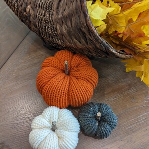 May include: Three knitted pumpkins in a cornucopia. The pumpkins are orange, white, and gray.