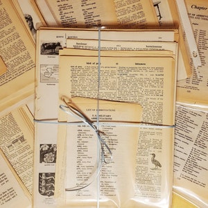 Vintage Dictionary Pages, large variety of 100 pages, decoupage, junk journal, pockets, card making, art prints, scrapbooking, famous quotes
