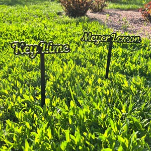 Metal garden art, custom garden marker, plant stake decor, stainless steel herb garden sign, garden gift, vegetable markers, outdoor sign