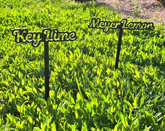 Metal garden art, custom garden marker, plant stake decor, stainless steel herb garden sign, garden gift, vegetable markers, outdoor sign
