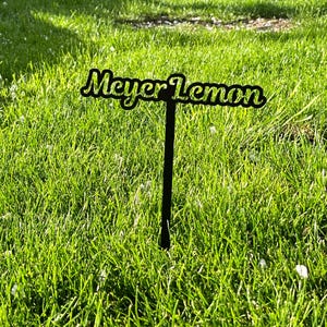 Metal plant stakes, metal garden sign, plant markers, vegetable tags, garden  stakes, herb markers, metal yard art, garden gift