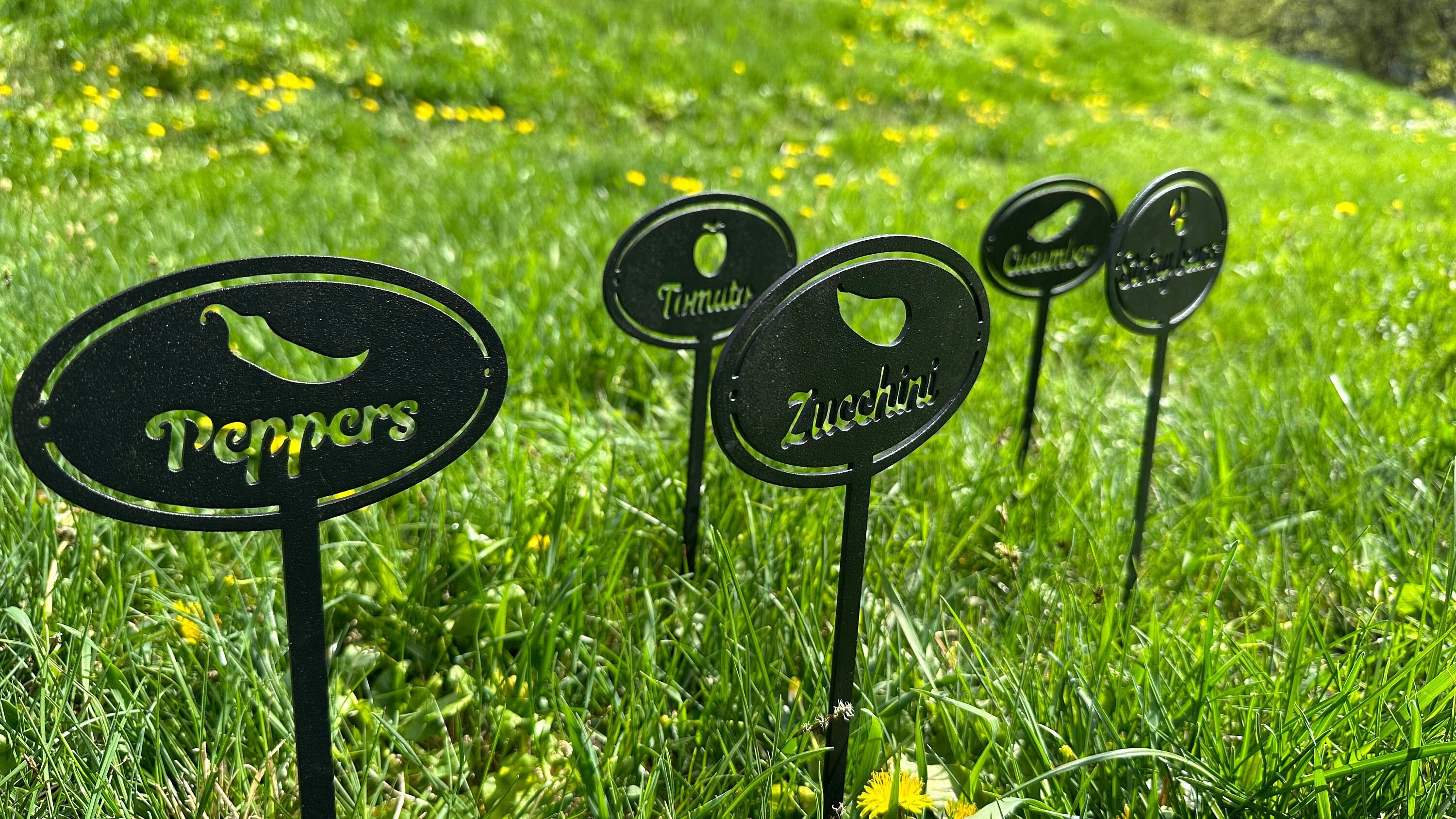 Etichette per piante da 100 pezzi pennarelli etichette in plastica da giardino d