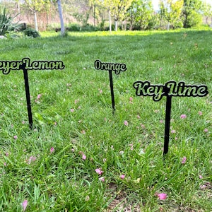 Metal vegetable stakes, garden stakes, custom metal sign, yard sign, garden decor, herb garden marker, plant lover gift, custom outdoor sign