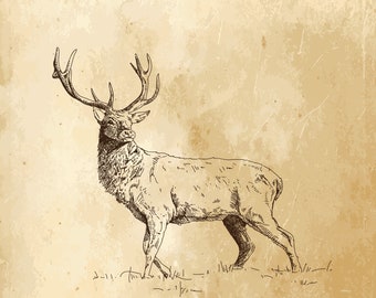 Deer digital drawing rustic line art , Deer for engraving, Wall Art, Posters, Wall Decor, Decoupage, Collages, Coloring