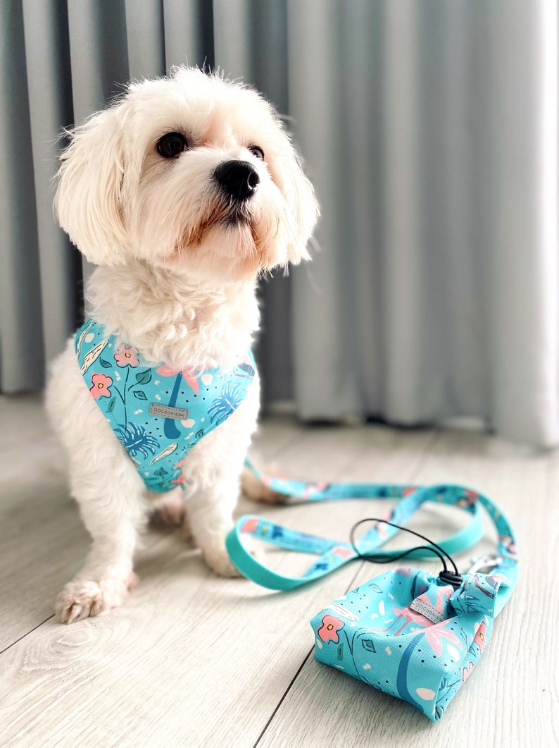 Dog lead 120 cm 150 cm 180 cm Tropical Print Dog Leash Handmade Leash Tropical Dog Leash Dog Accessories| Girl Boy Dog Leash
