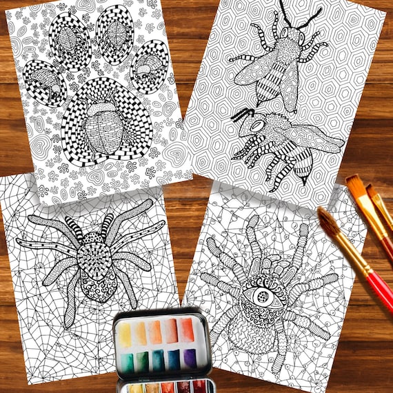 Digital SET 4 coloring pages Woman/'s beauty for adults Adult coloring sheets. Instant Digital JPEGs Download