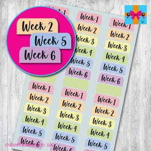 School Term Weeks Planner Stickers / Weeks 1 - 6 x 6 / UK School Terms Stickers / Matt Vinyl Stickers