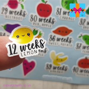 Pregnancy Planner Stickers / 37 Fruit & Veg Pregnant Planner Stickers / Cute Kawaii Stickers / Weeks 4 to 40 / Matte Vinyl British Stickers