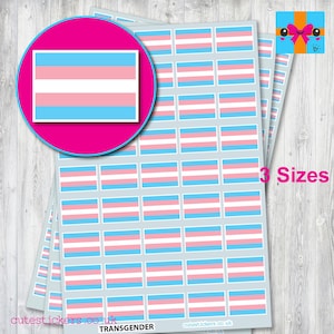 Transgender Flag Stickers /  LGBTQ+ Stickers / 3 sizes: 10mm x 7mm, 15mm x 10mm, 20mm x 14mm / Event Planner Diary Calendar
