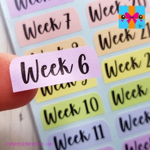 Weeks of the Year Planner Stickers / 52 Weekly Planner Stickers / Cute Kawaii Stickers / Week 1 to 52 / Matte Vinyl Stickers