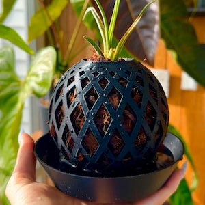 Close-up of a handcrafted Kokedama moss ball, a beautifully wrapped plant ball designed to enhance indoor gardens with natural elegance and style.