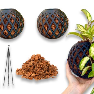 May include: Three black hanging planters with a lattice design. The planters are filled with brown coconut fiber. One planter is being held by a hand, showing a green plant growing inside.