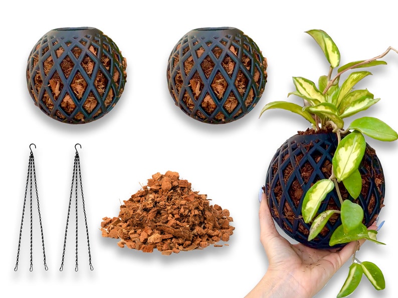 May include: Three black hanging planters with a lattice design. The planters are filled with brown coconut fiber. One planter is being held by a hand, showing a green plant growing inside.