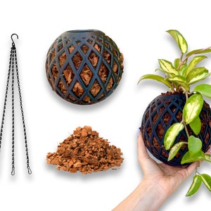 May include: A black hanging planter with a chain, a pile of brown coconut coir, and a green plant growing in a black hanging planter.