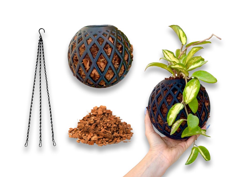 May include: A black hanging planter with a chain, a pile of brown coconut coir, and a green plant growing in a black hanging planter.