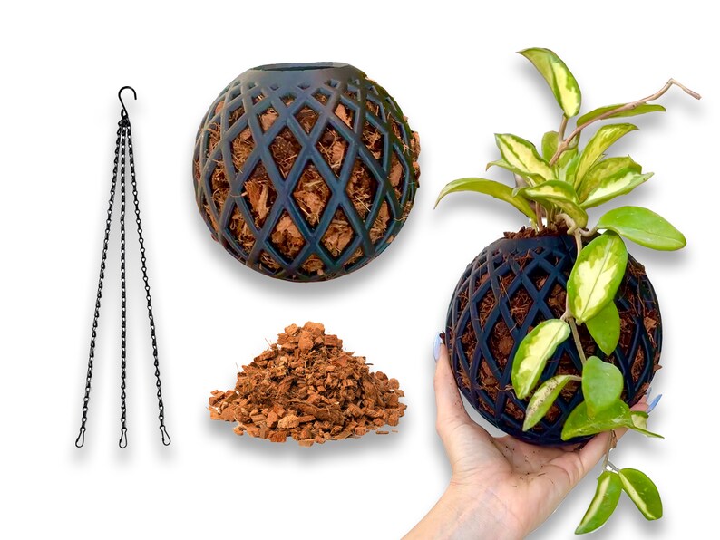 May include: A black hanging planter with a geometric design, filled with brown coconut coir. A green and white variegated plant is growing inside the planter, which is being held by a hand.