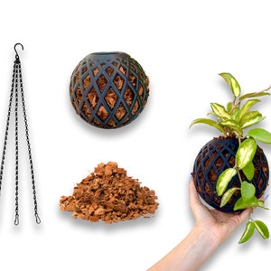 May include: A black hanging planter with a chain, a pile of brown coconut coir, and a green plant growing in a black hanging planter.
