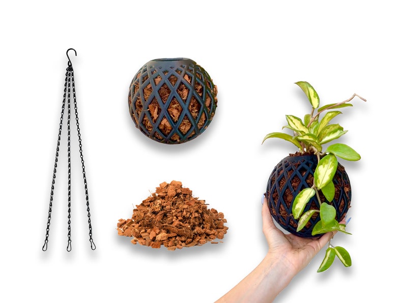 May include: A black hanging planter with a chain, a pile of brown coconut coir, and a green plant growing in a black hanging planter.