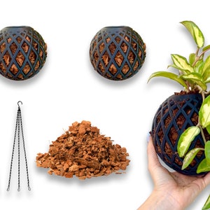 May include: Two black hanging planters with a diamond pattern and coconut fiber inside. A pile of coconut fiber is in the center of the image. A third black hanging planter with a diamond pattern is filled with coconut fiber and a green plant with variegated leaves.