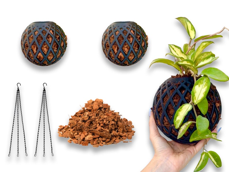 May include: Two black hanging planters with a diamond pattern and coconut fiber inside. A pile of coconut fiber is in the center of the image. A third black hanging planter with a diamond pattern is filled with coconut fiber and a green plant with variegated leaves.