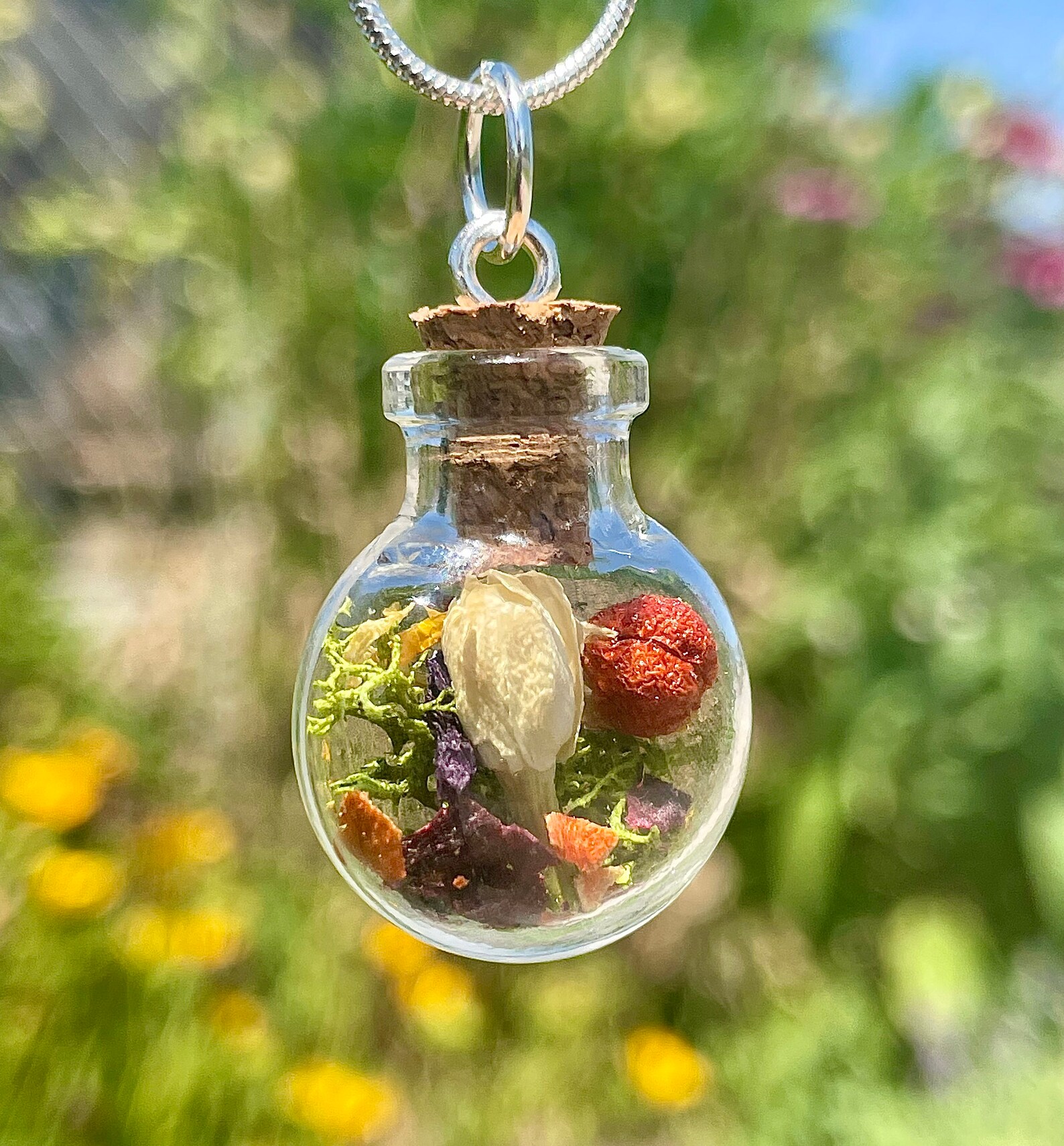 Flat Round Terrarium Necklace Etsy