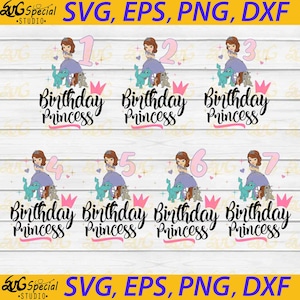 May include: Seven digital designs featuring a princess character with a dinosaur and a crown. Each design includes a number from 1 to 7 and the text "Birthday Princess".