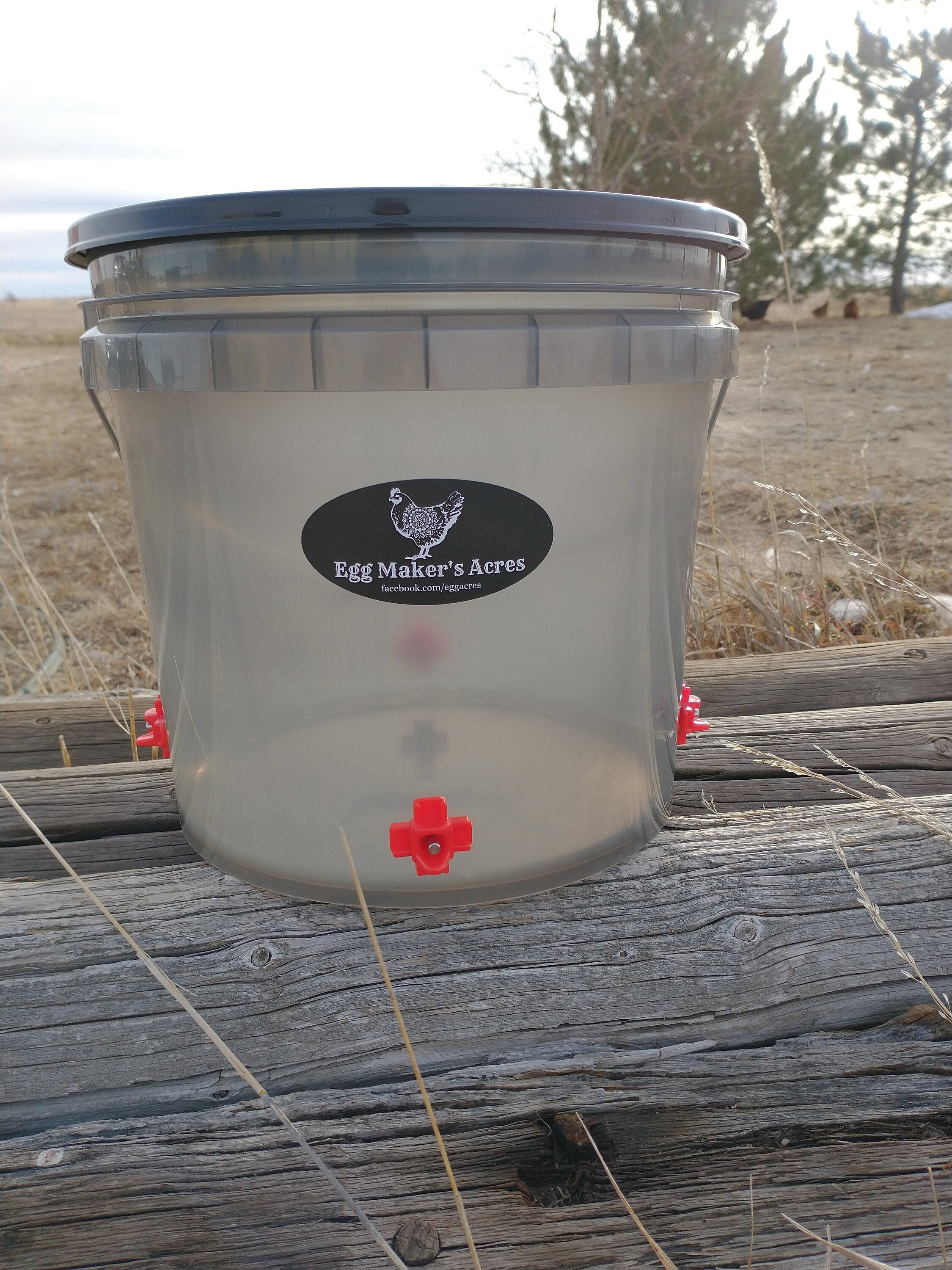 Antique Chicken Waterer for sale Only 3 left at 65