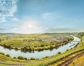 Weinort Trittenheim with Moselle loop, most beautiful wine view, photography