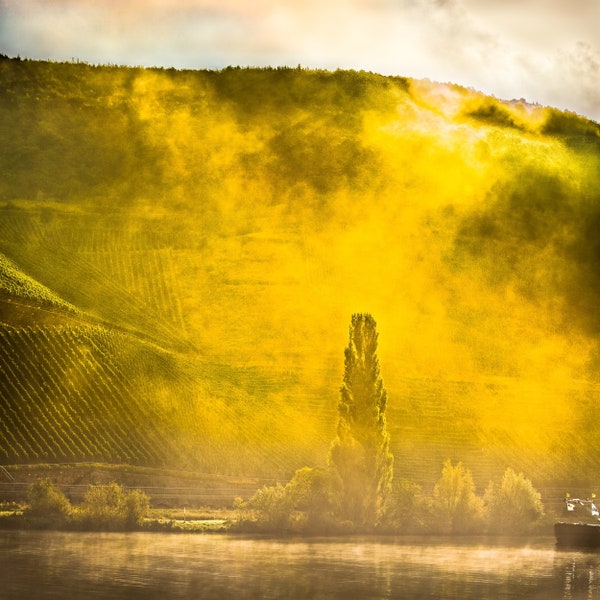 Nebelsturm, Weinberg im Nebel am Fluss, Fotografie