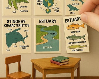 Printable Miniature Marine Science Posters – 1:12 Scale Dollhouse Classroom Wall Art, Educational Printables for Diorama Scenes - PRINTABLE