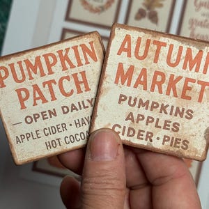 May include: Two rustic, rectangular signs with orange text on a cream background. One reads "Pumpkin Patch" with "Open Daily" and other text. The other says "Autumn Market" with a list of items.