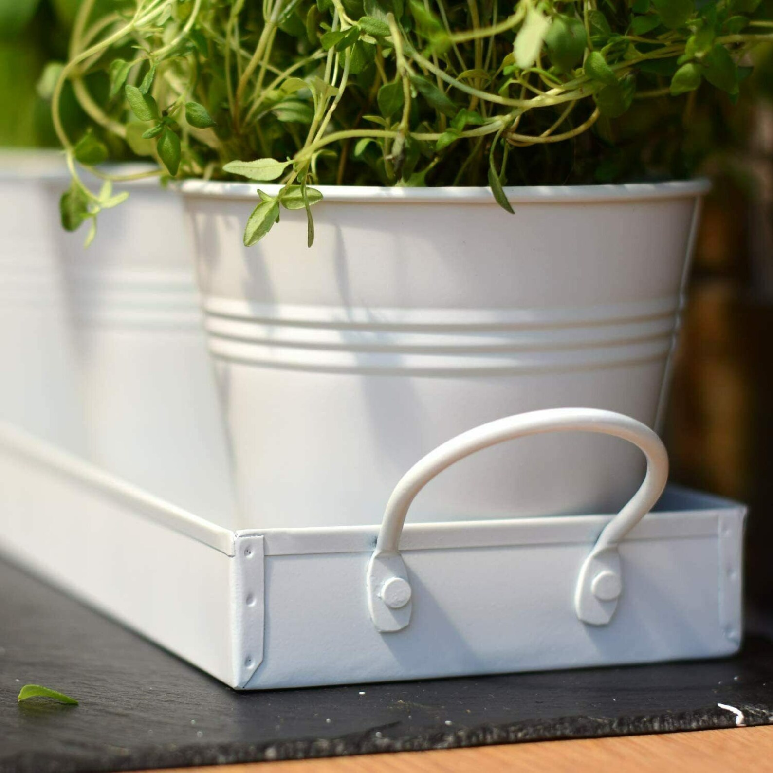 Kitchen Windowsill Metal Herb Pots With Tray Set Window Sill Etsy