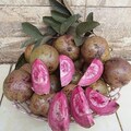 Grafteed Purple Psidium Guajava Fruit Tree | Rare Tropical Guava Tree | Delicious Purple Guava for Home Garden product logo