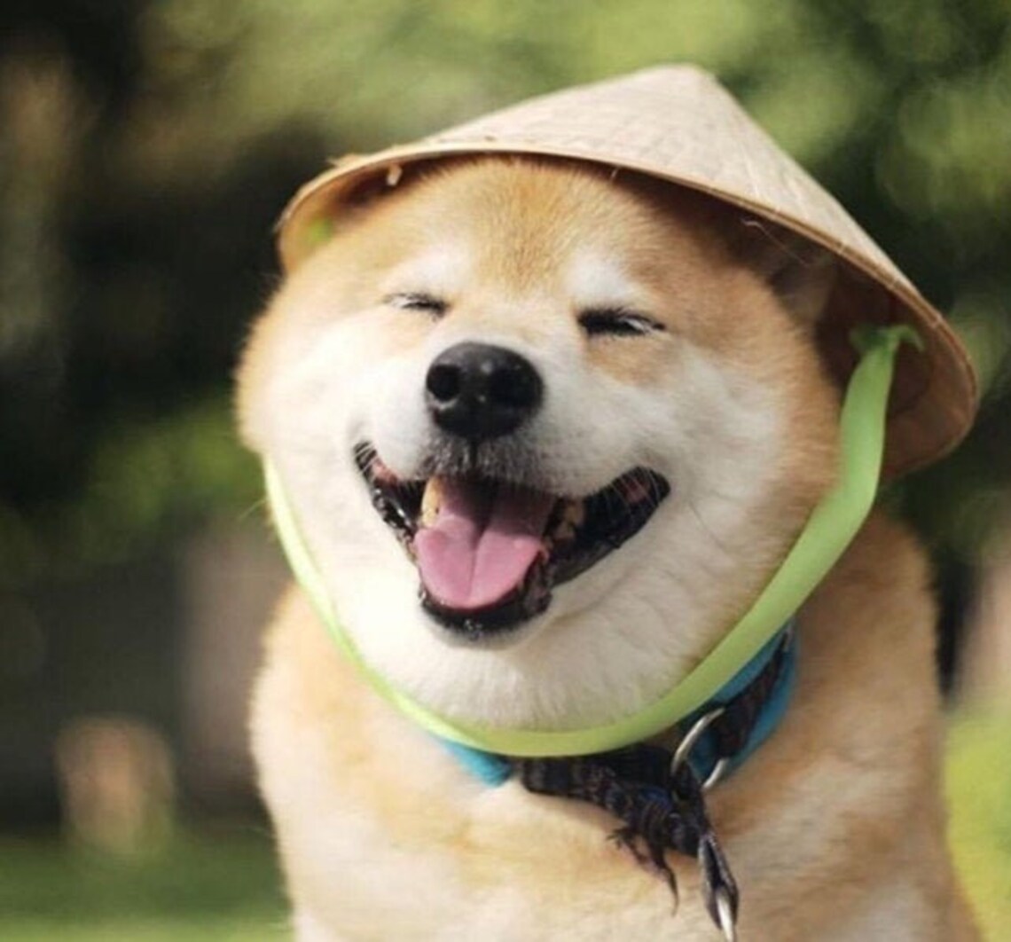 Hat For Dog Conical Hat Asian Leaf Hat Non La Viet Nam Etsy