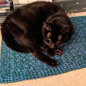Custom crochet Cat/Pet Blanket/Mat