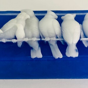 May include: A blue soap bar with a white design of five birds perched on a wire. The birds are in a row, facing the right side of the image.