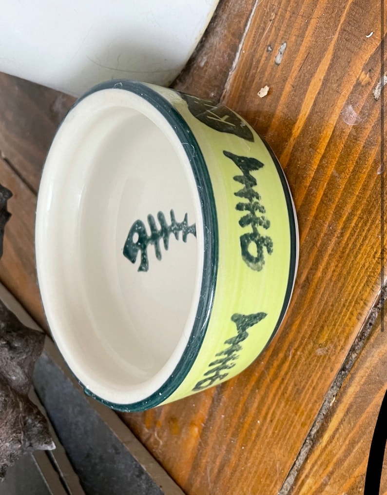 Pu&ograve; includere: Una piccola ciotola per animali domestici in ceramica gialla con un bordo verde e un disegno di lisca di pesce nero. La ciotola dice "Whiskers" sul lato.