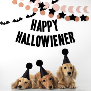 Happy Hallowiener - Halloween decoration for weiner dog, sausage dog puppy party theme, trick or treat, pet costume, party hat, boo crew.