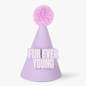 Op de afbeelding: Paarse feestmuts met een roze pompon bovenop en de woorden "Fur Ever Young" in wit glitter.