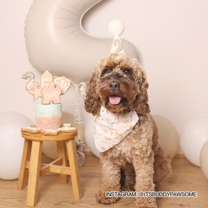 Cockapoo Dog Wearing Mini Cream Neutral Party Hat with Light Brown Number Two Age for Second Birthday