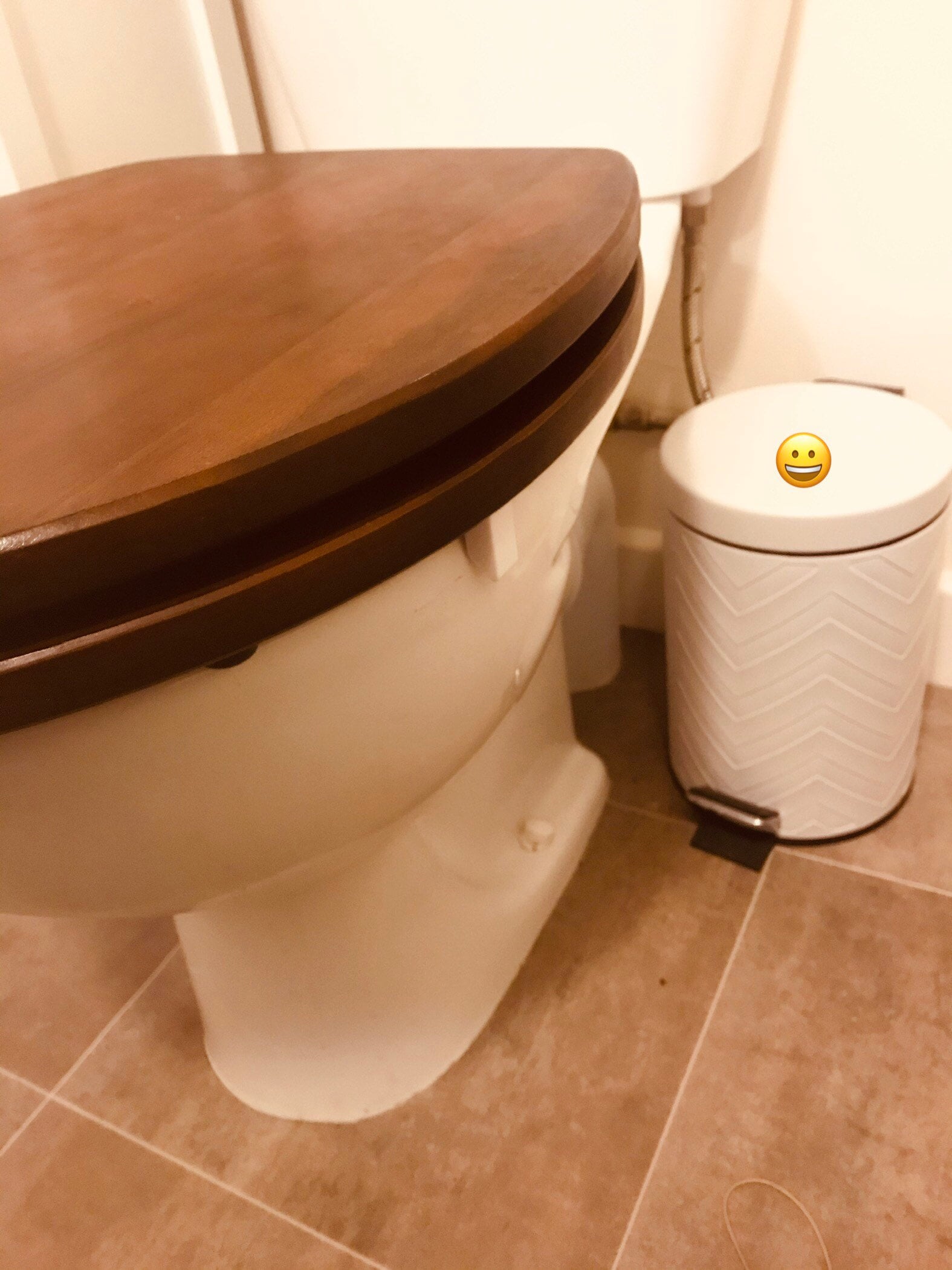 kohler toilet tank flush lever