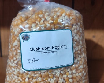 Amish Popcorn Mushroom