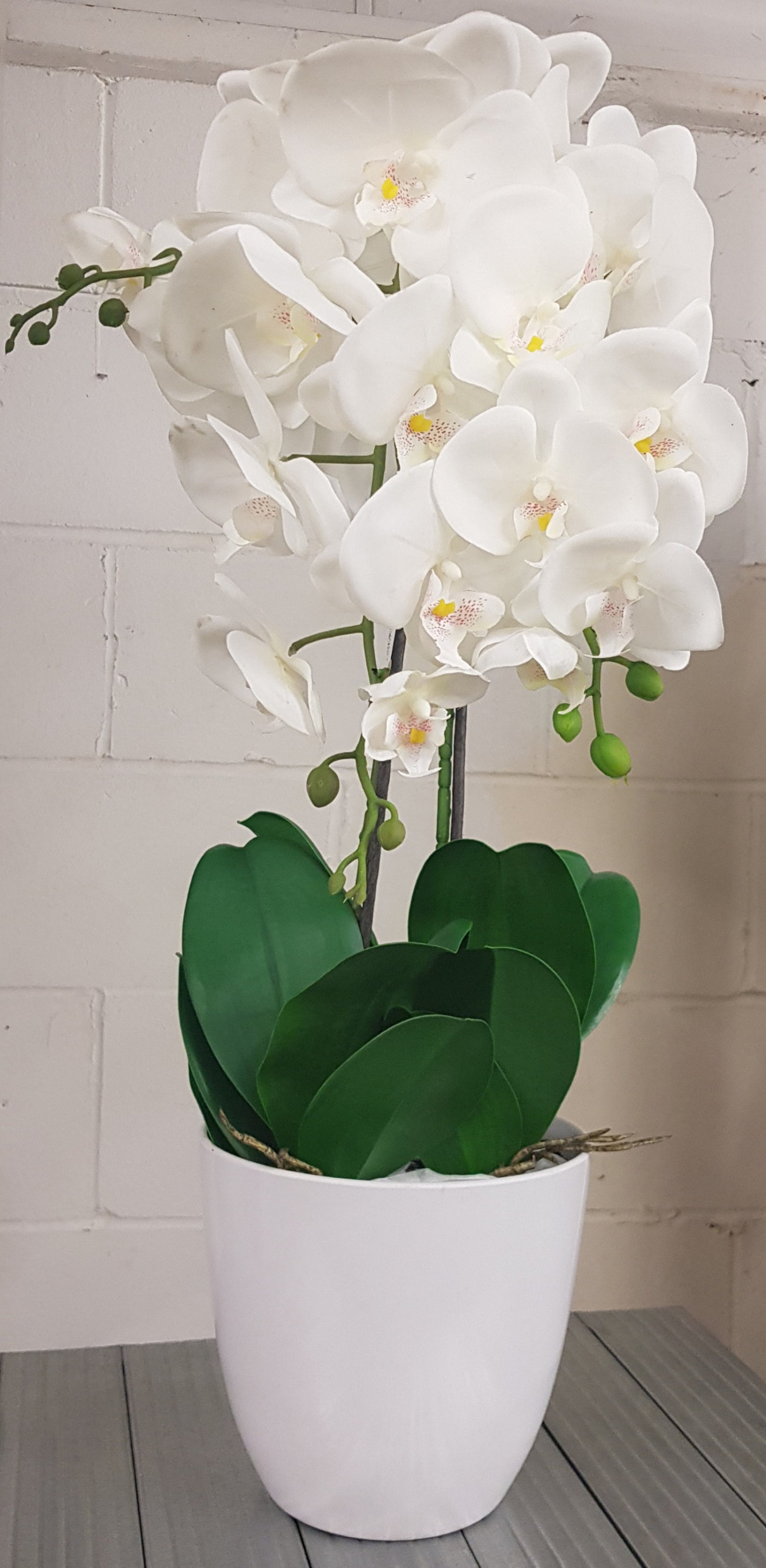 Artificial Real Touch Orchid in Melamine Pot Double Stem Etsy