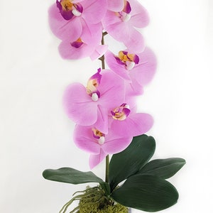 Real Touch Faux Orchid in Vase, Moss and Greenery