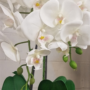 Orchidée artificielle au toucher réel dans un pot en mélamine, orchidée en pot à double tige, plante d&#39;orchidée pour la décoration intérieure, pièce maîtresse de composition florale artificielle