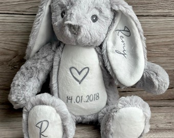 Gepersonaliseerd babycadeau konijn, pasgeboren cadeau, aangepaste zacht speelgoed teddybeer, cadeau voor nieuwe baby knuffel aandenken, jongen meisje wedergeboorte.